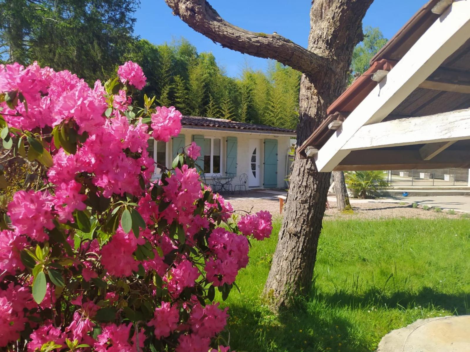 Le Clos Bussy * Bellerive-sur-Allier